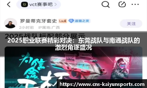 2025职业联赛精彩对决：东莞战队与南通战队的激烈角逐盛况